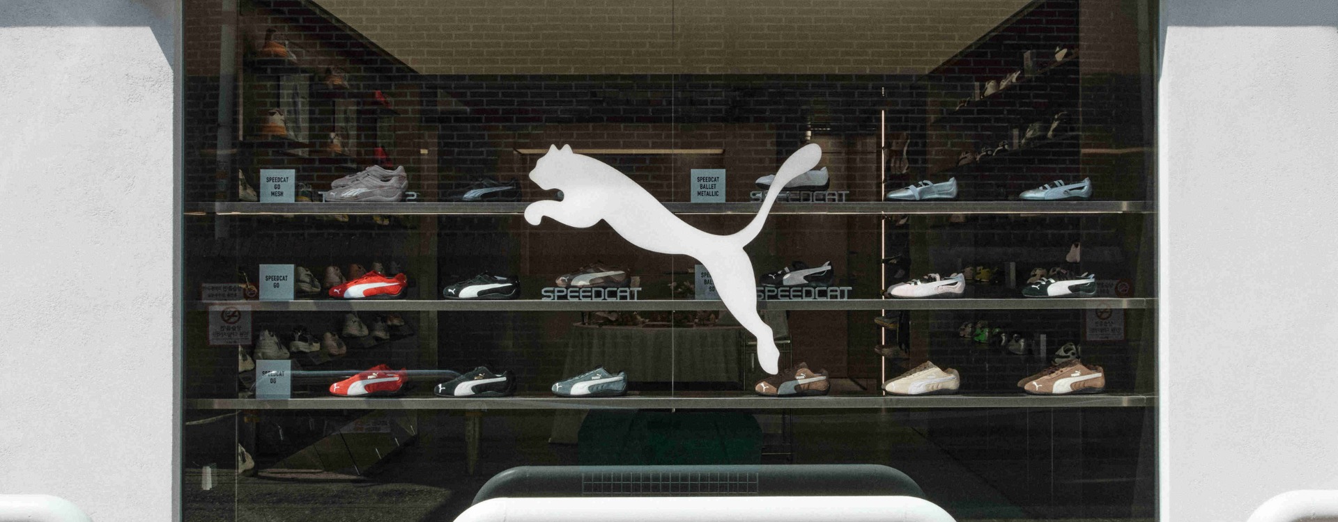 제목 없는 디자인 (5)